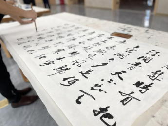 墨香四溢 漢中市書法家協(xié)會攜手西鄉(xiāng)縣博物館共襄書法盛舉